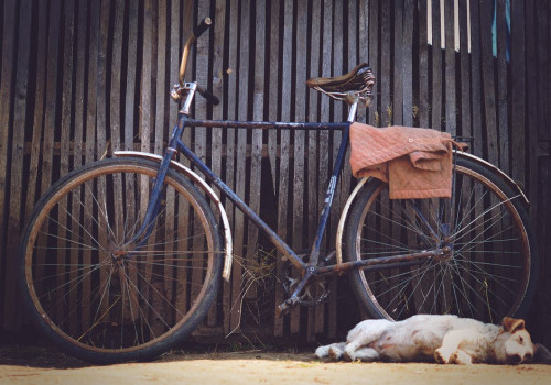 Waar moet ik op letten als ik ga fietsen met mijn hond?