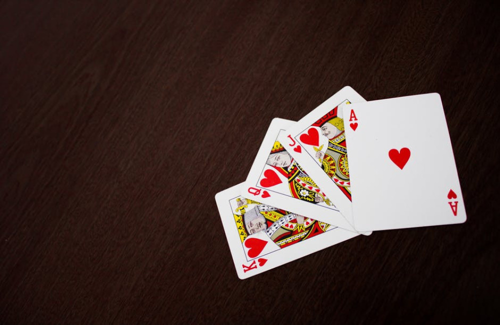 Blijf je liever bij je huisidieren? De leukste online casino spellen!