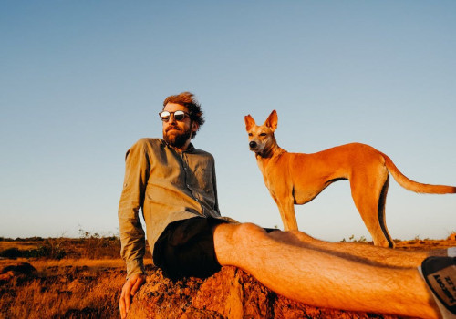 Vakantie boeken met de hond? Hier moet je op letten!