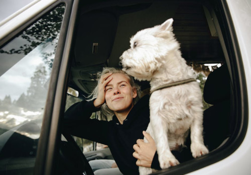 Mag je hond mee in een gehuurde auto op Santorini?